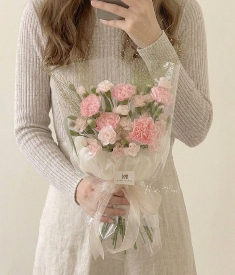 Dawn Serenity Carnation - Carnation