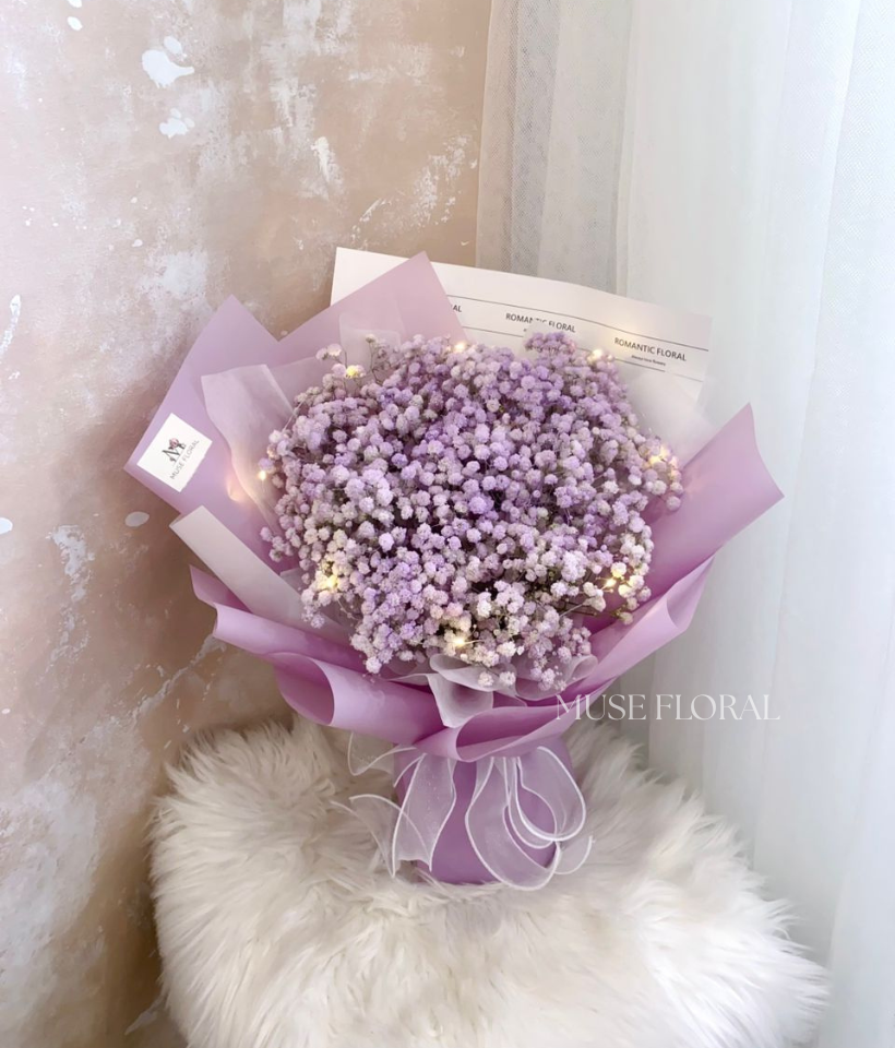Dewdrop Waltz Baby's Breath - Baby's Breath
