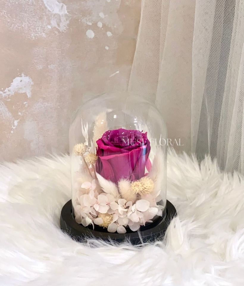 Florévo Preserved Flower - Preserved Flowers