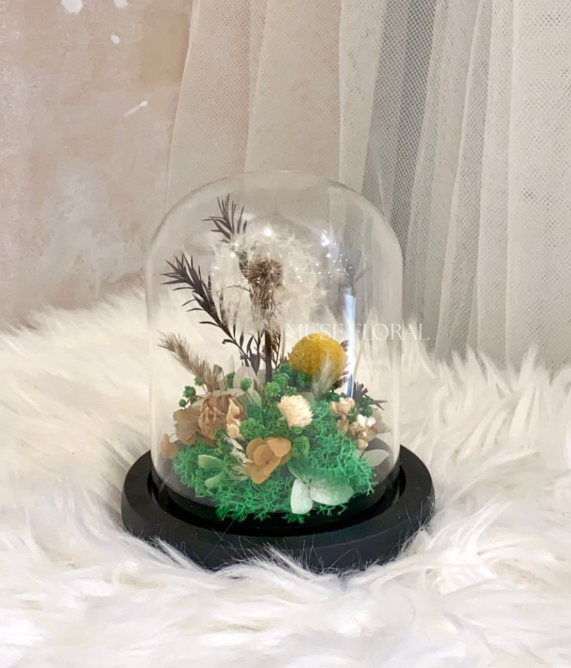 Clementime Preserved Flower - Preserved Flowers