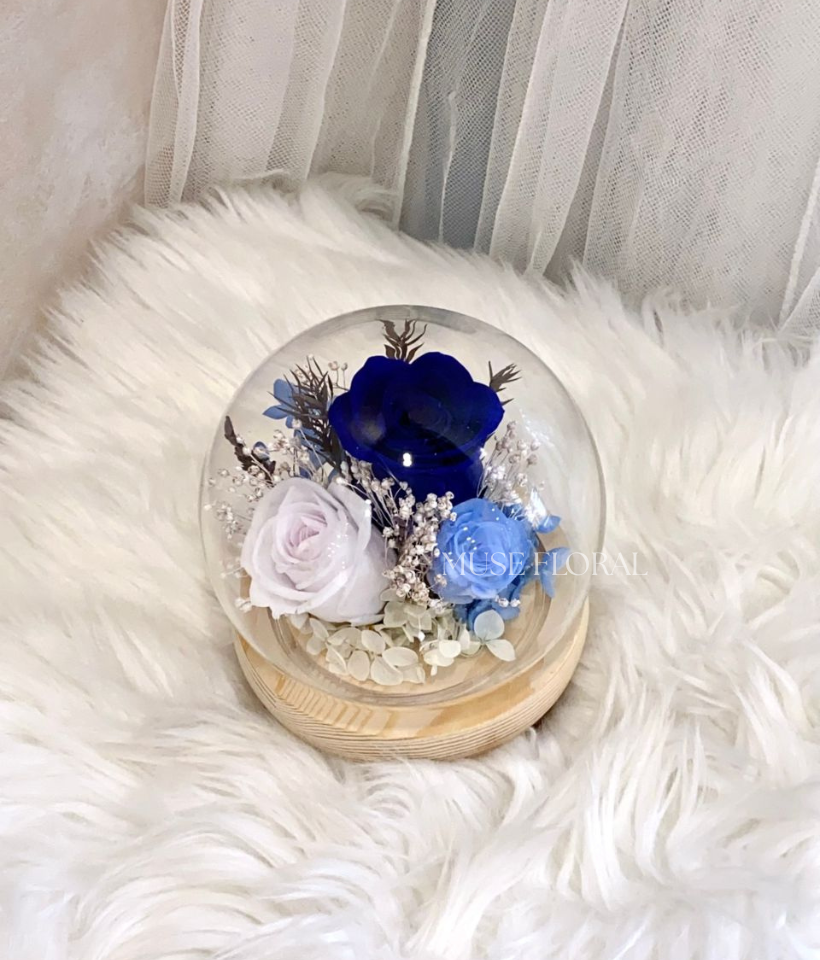 Cloudfern Preserved Flower - Preserved Flowers