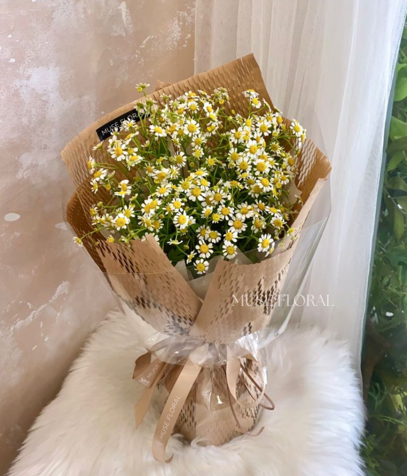 Zephyra Chamomile Bouquet - Others