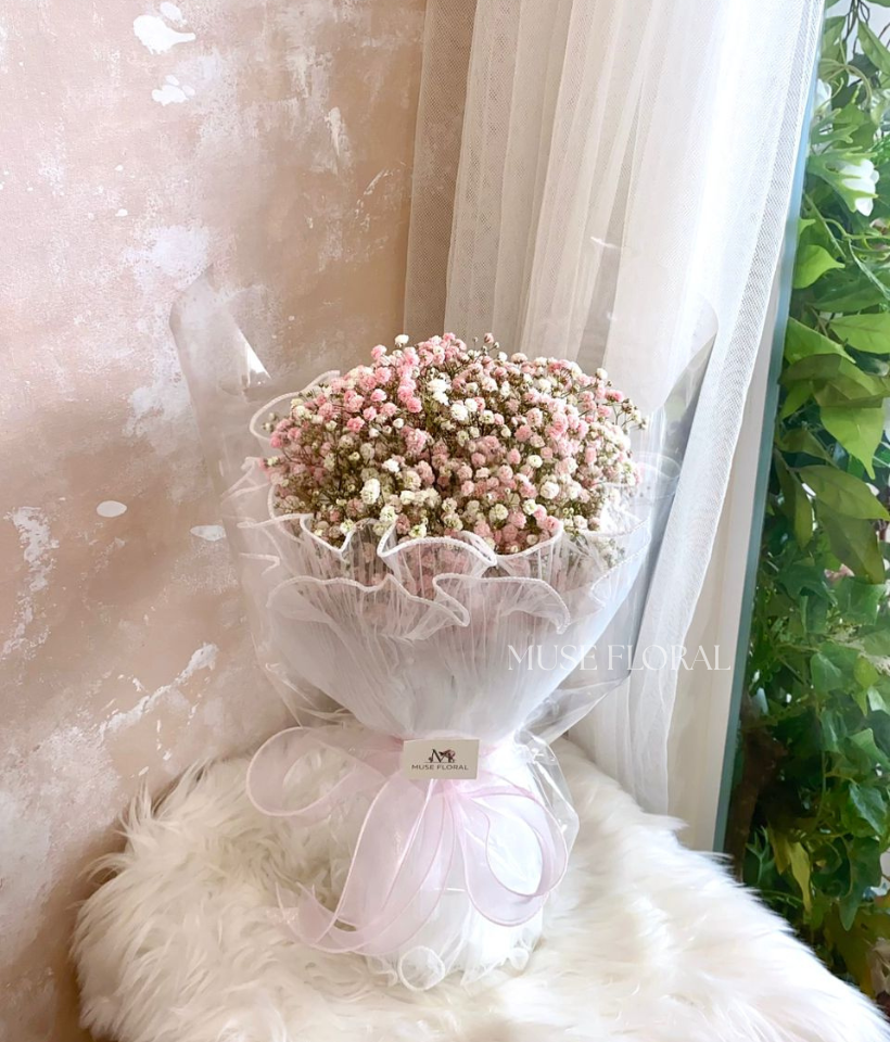 Still Essence Fresh Baby's Breath - Baby's Breath