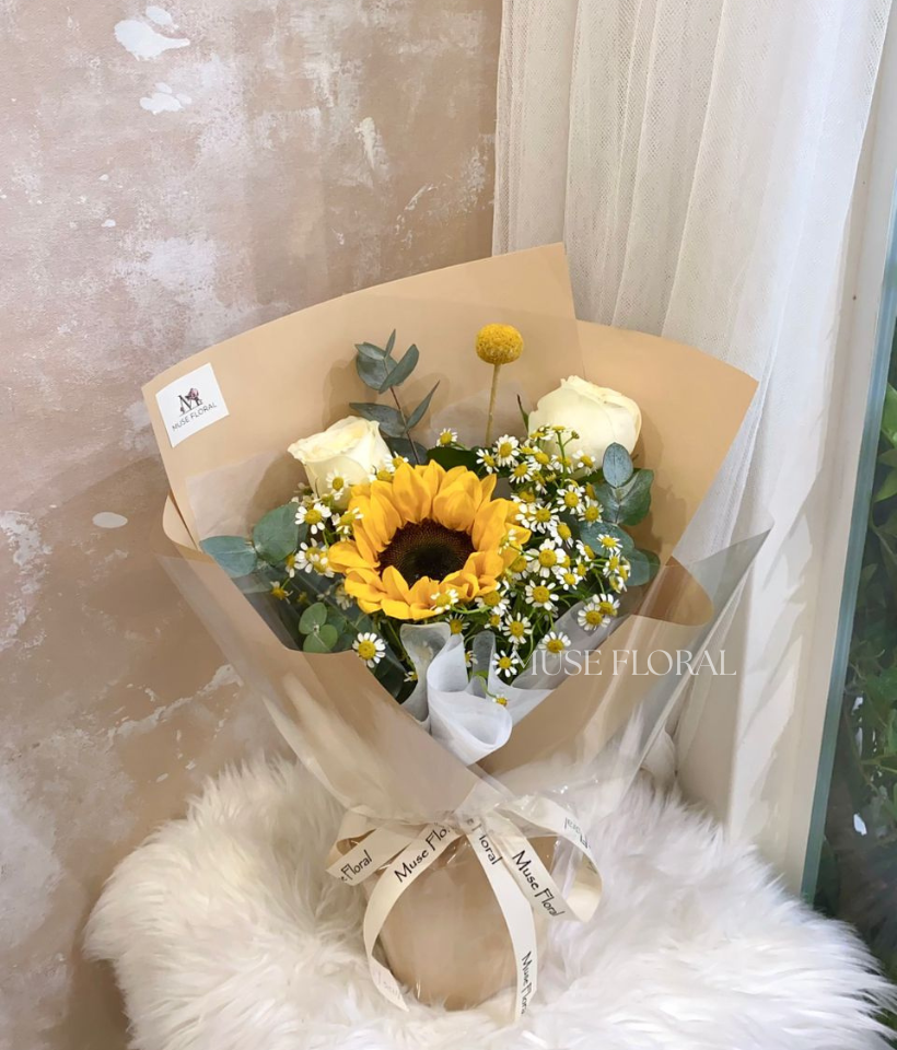 Mistora Sunflower - Sunflower