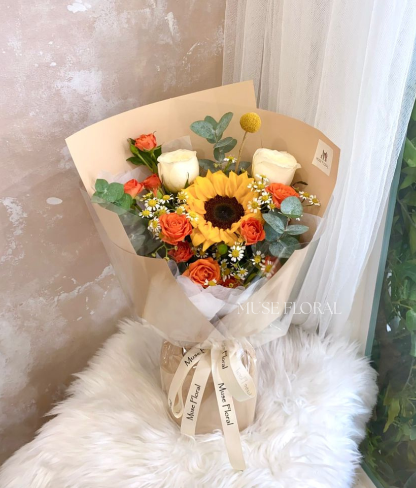 Meadowglow Sunflower - Sunflower