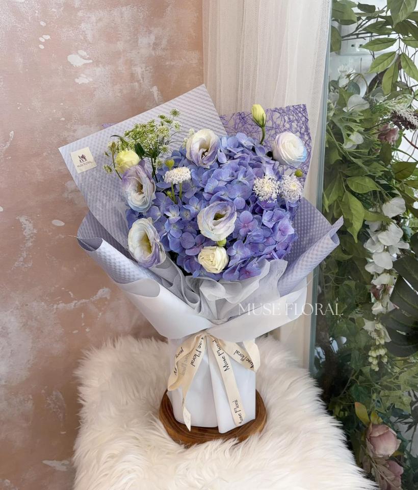 Azure Bloomline Hydrangea - Hydrangea