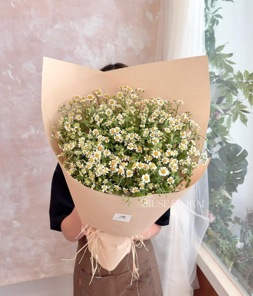 One Soft Thing Rose Bouquet - Others