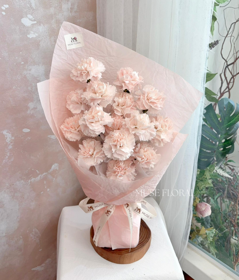 Floral Form Carnation - Carnation