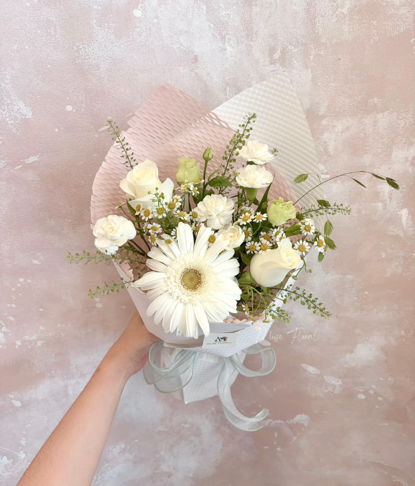 Blooming Tale Gerbera Daisy - Gerbera Daisy