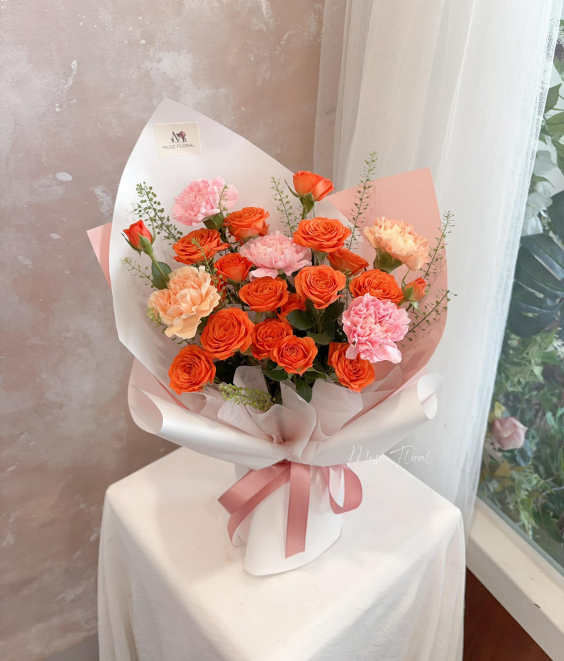 Coral Whisper Rose - Rose