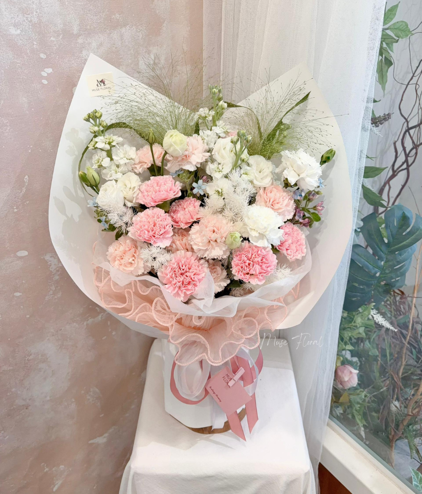 Dewdrop Dream Carnation - Carnation