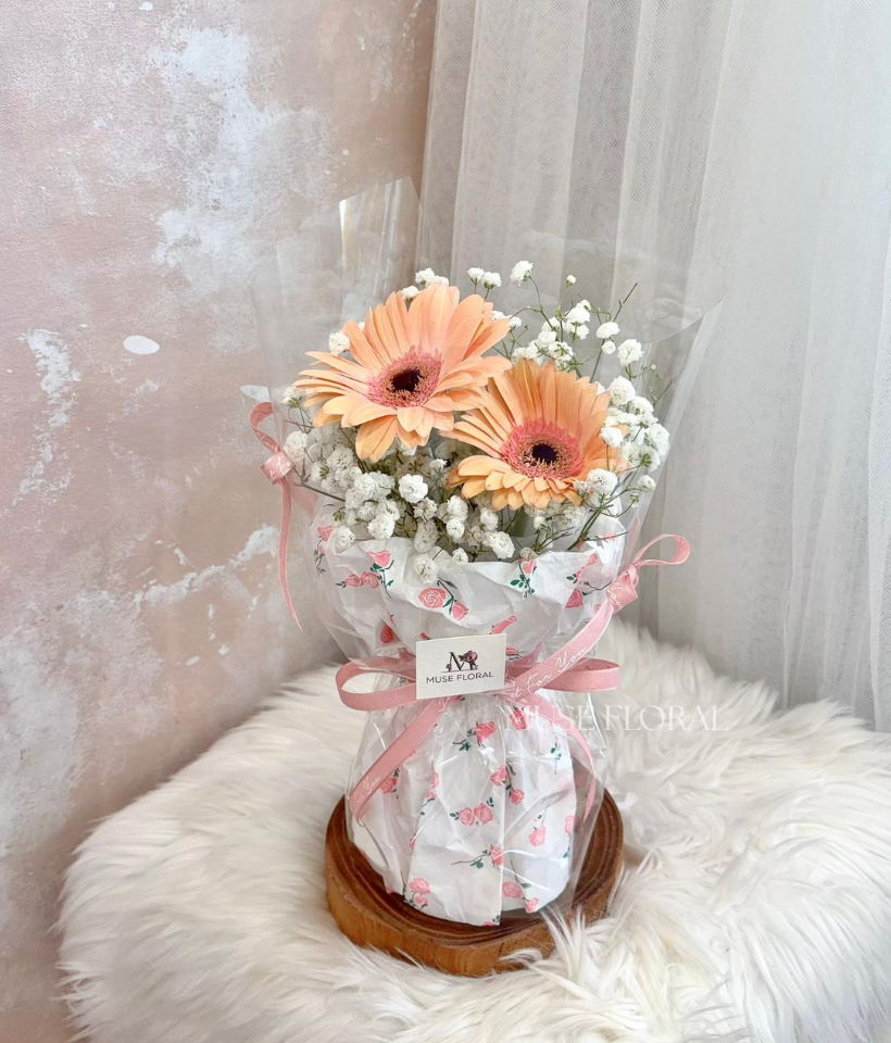 Veloura Gerbera Daisy Bouquet - Gerbera Daisy