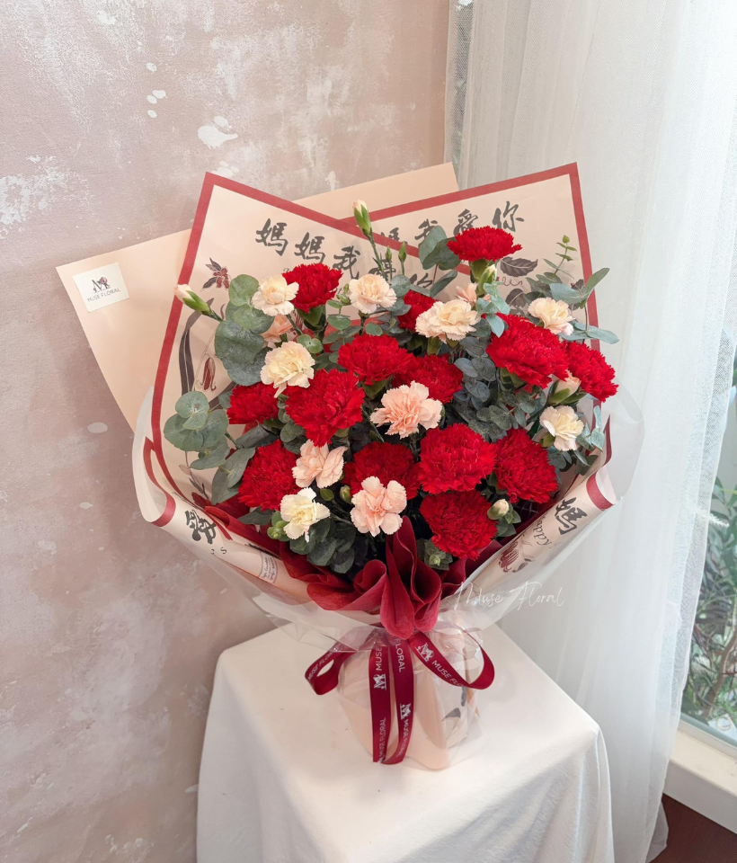 Daybreak Blossom Carnation - Carnation