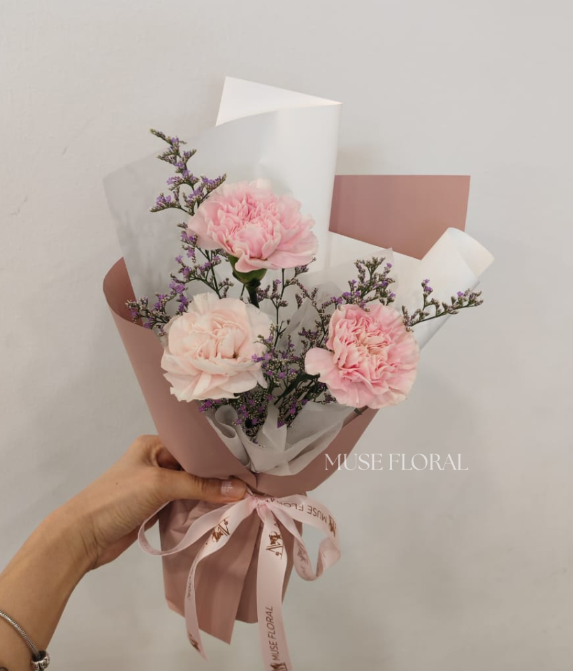 Bloom Joy Carnation - Mother's Day