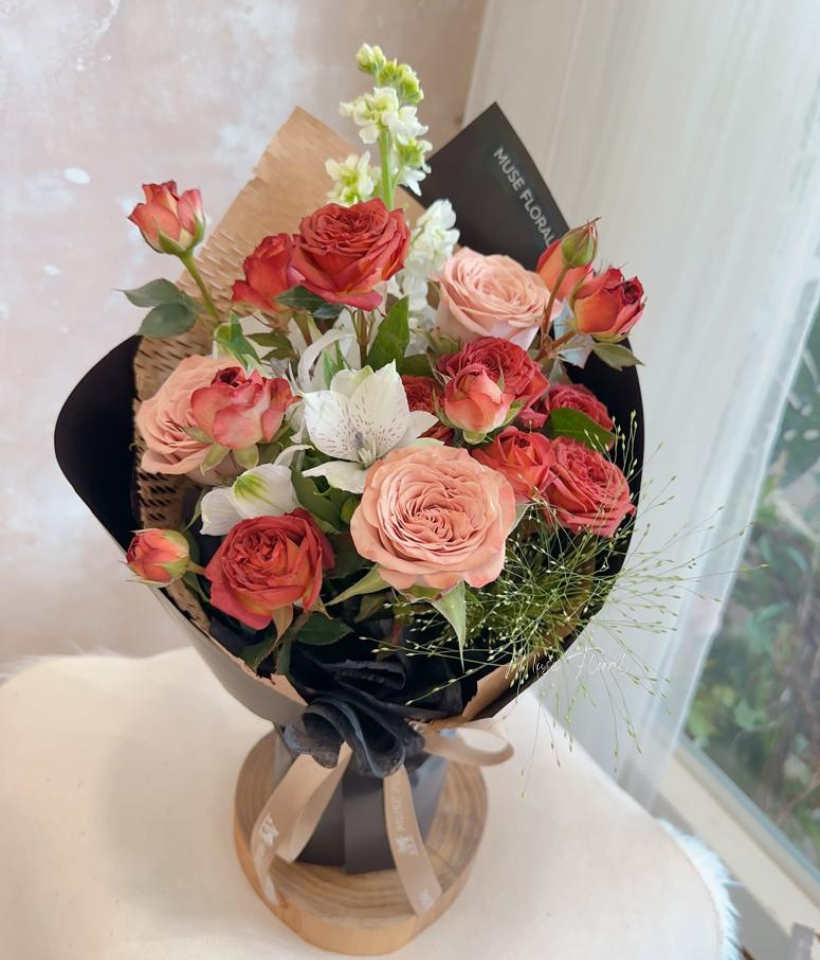 First Light Rose - Rose