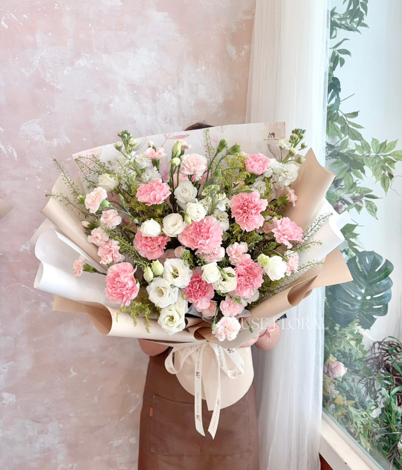 Soft Mirage Carnation - Carnation