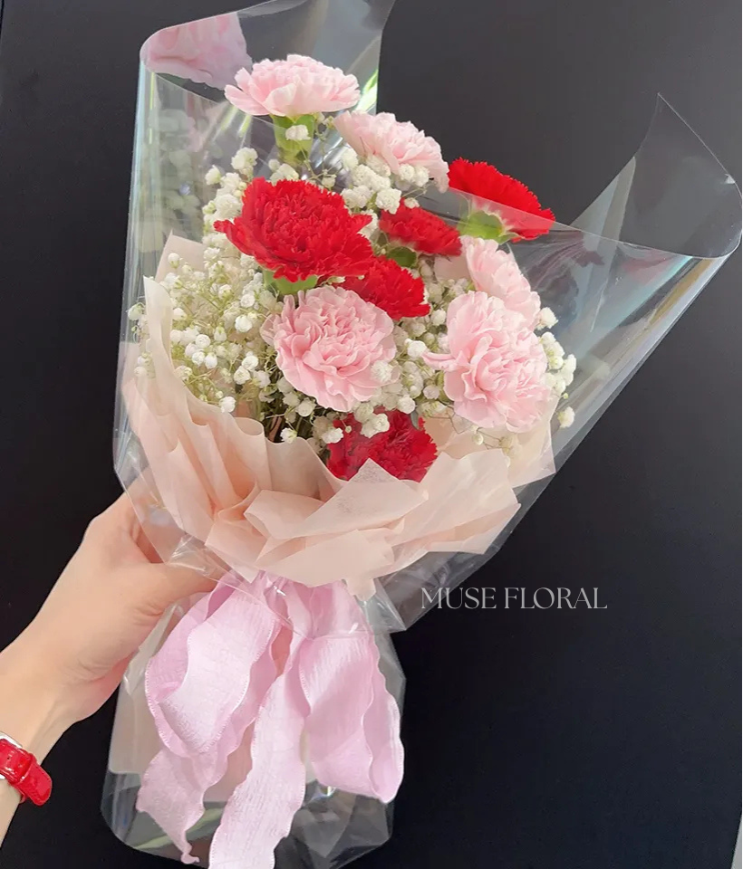 Bloomora Carnation - Mother's Day