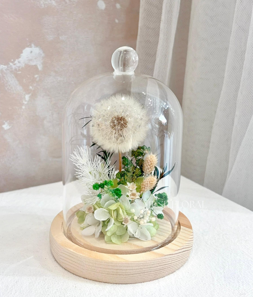 Wind Ivy Preserved Flower - Preserved Flowers