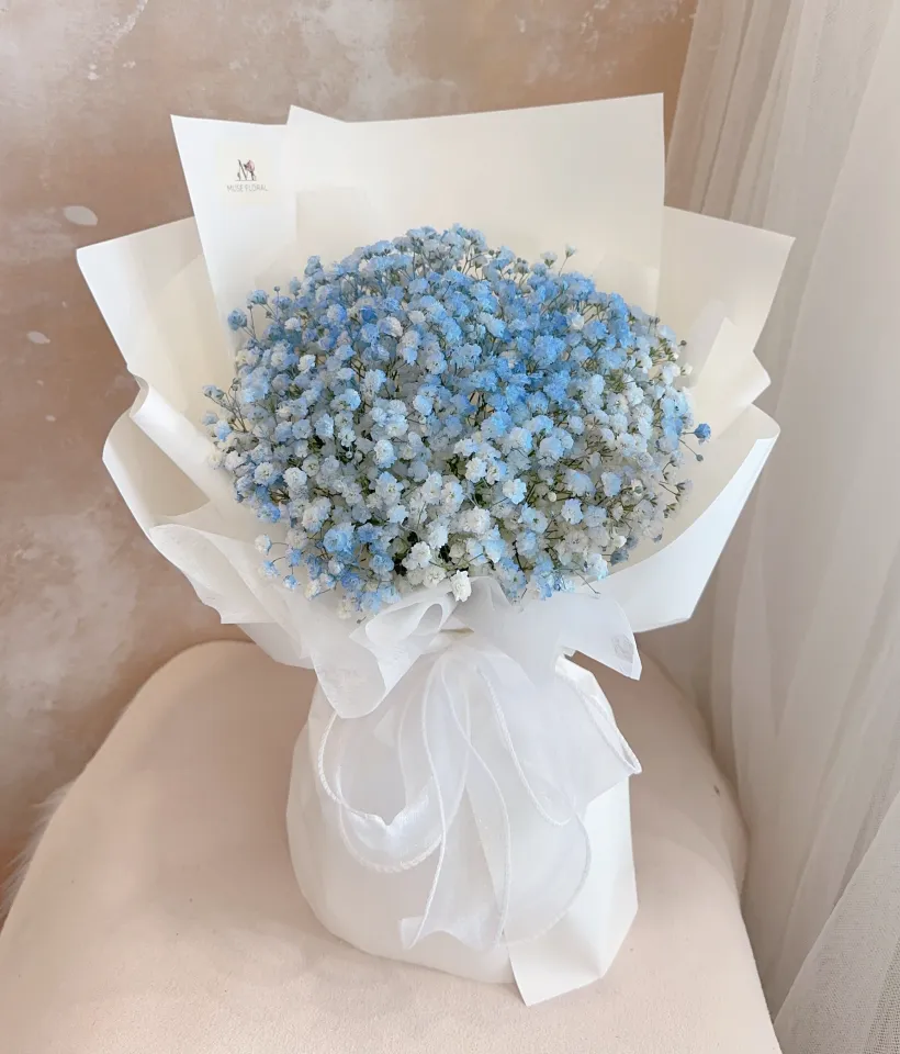 Dewveil Fresh Baby's Breath - Baby's Breath